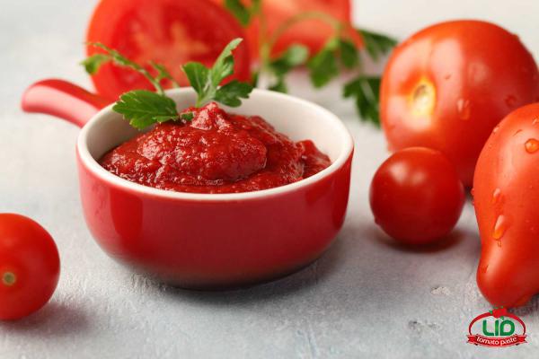 مراكز تصدير أفضل معجون طماطم في الشرق الأوسط