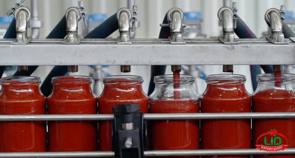 شركات تصدير صلصة الطماطم بأكياس المناسبة