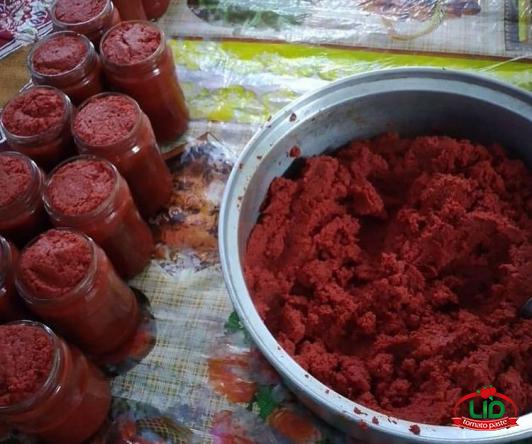 تصدير معجون الطماطم 400 جرام في الشرق الأوسط