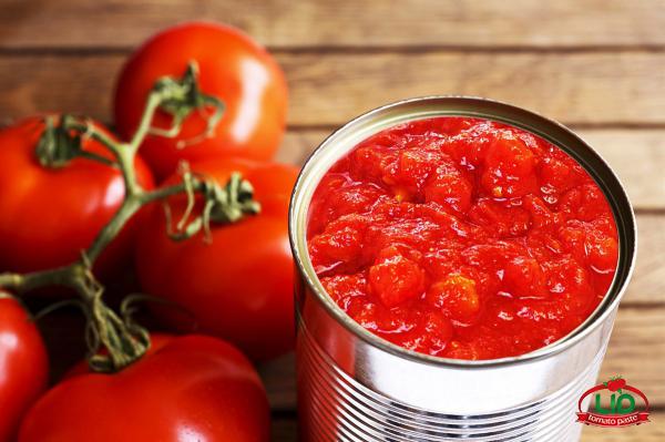 أفضل مصنع أنتاج معجون طماطم في ايران