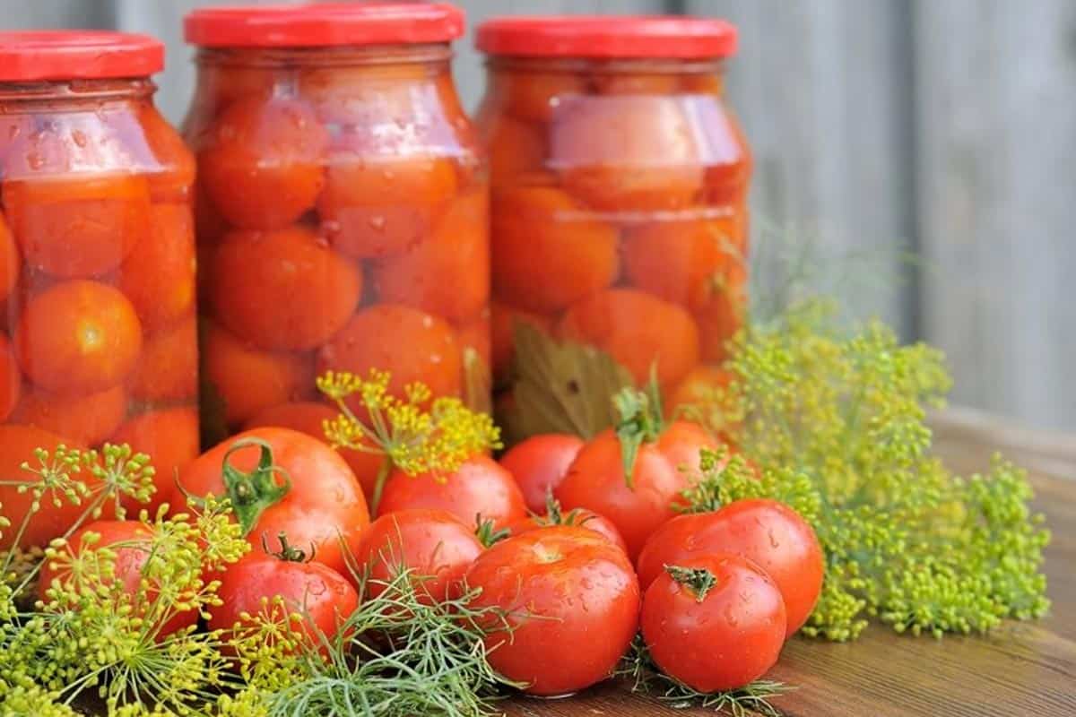  كم سعر الطماطم المعلبة في الجزائر و ما انواع تعبئتها؟ 