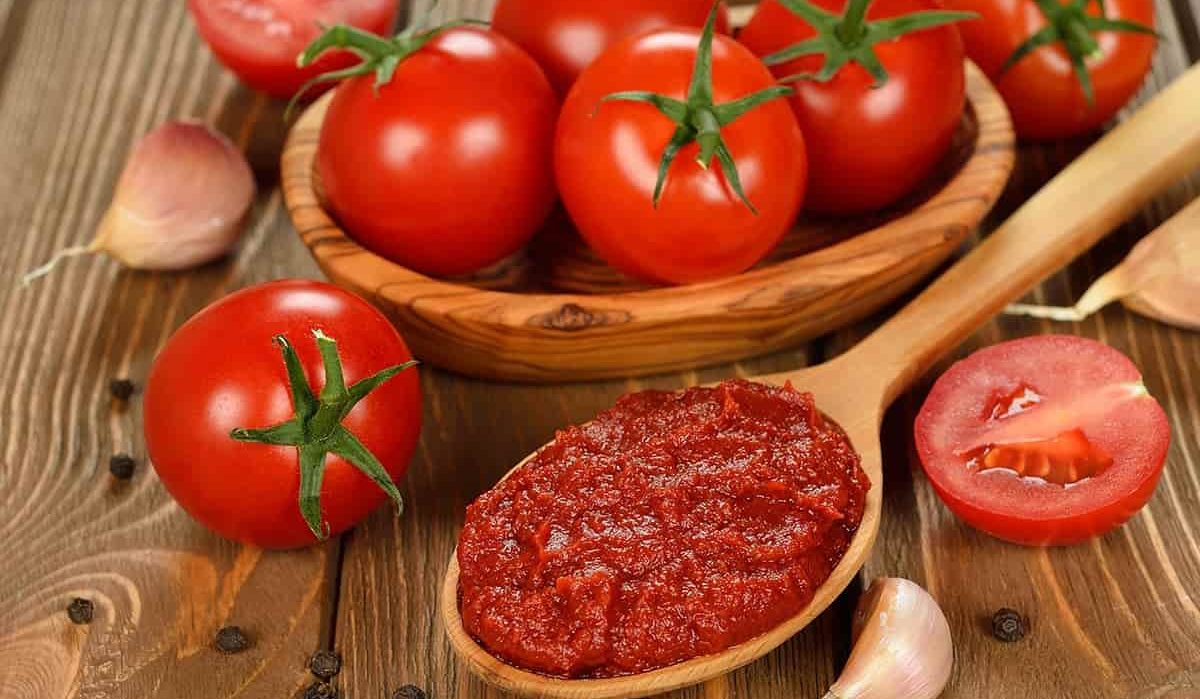  افظل اماكن بيع معجون الطماطم في مناطق مختلفة في العالم 